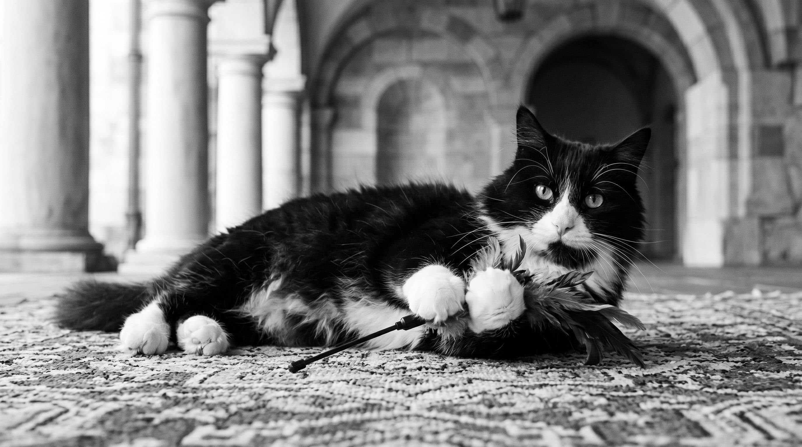 Black-and-white tuxedo cat lying on his side on a plush rug gripping a feathered wand toy tightly in both paws with a stubborn expression