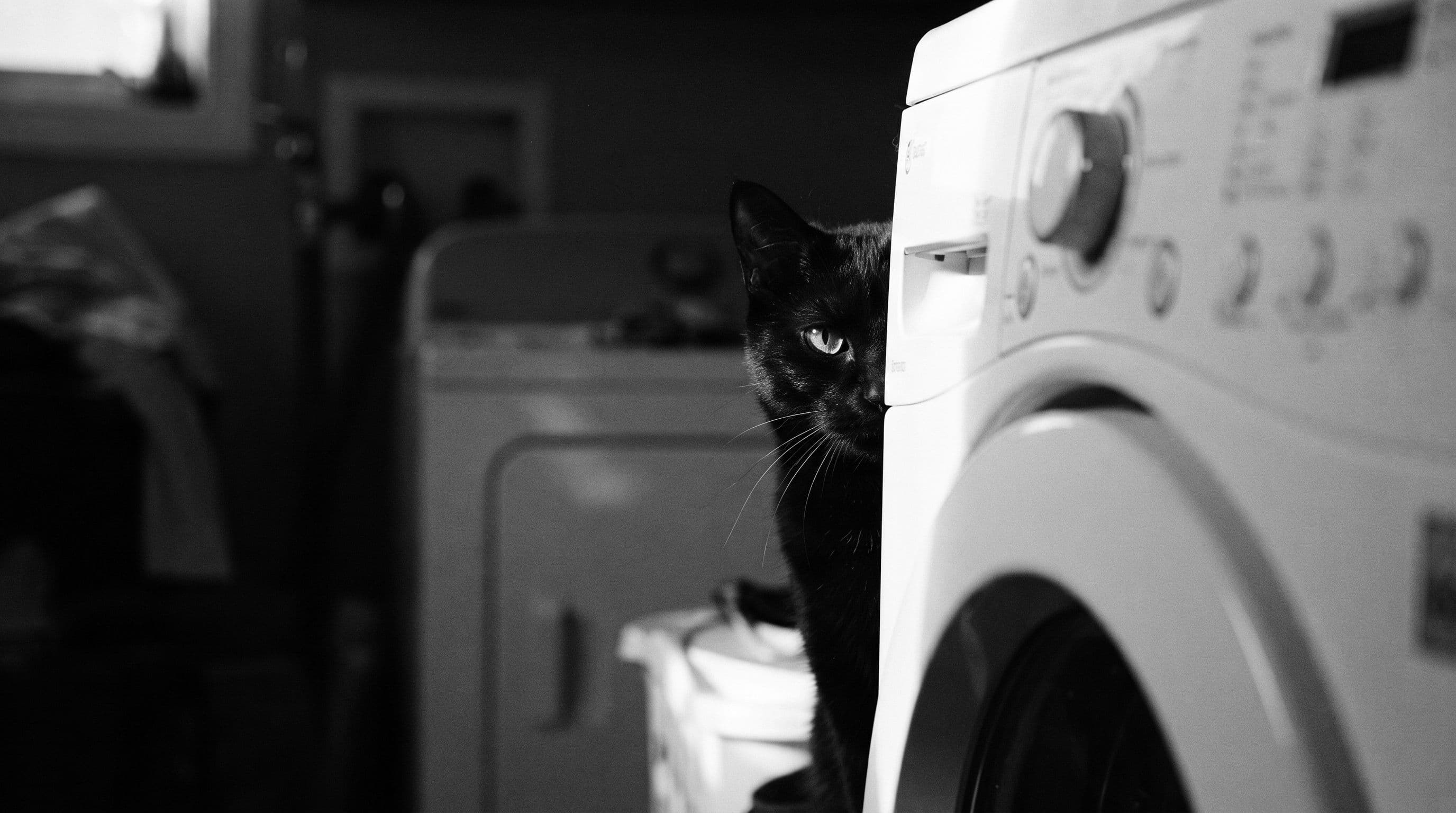 All-black cat peering out from behind a washing machine in a shadowy laundry room, only one green eye and faint white belly patch visible